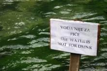 Vrelo Bosne - voda nije za piće