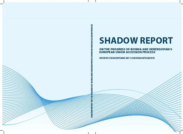 Shadow Report